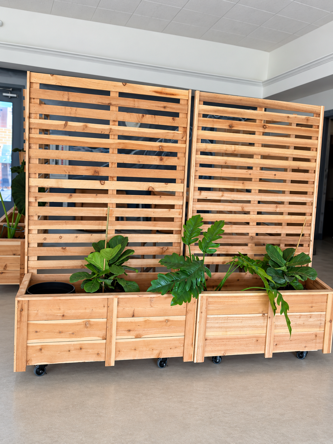 Evergreen Garden Trellis